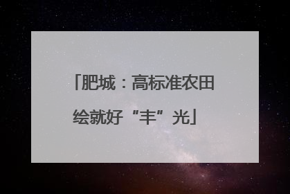 肥城：高标准农田绘就好“丰”光