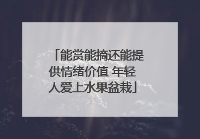 能赏能摘还能提供情绪价值 年轻人爱上水果盆栽