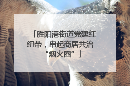 胜阳港街道党建红纽带，串起商居共治 “烟火圈”