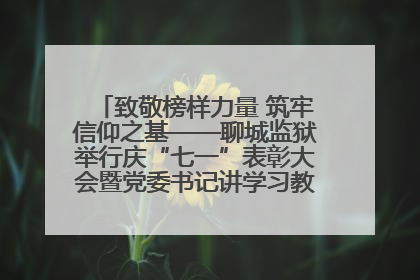 致敬榜样力量 筑牢信仰之基——聊城监狱举行庆“七一”表彰大会暨党委书记讲学习教育专题党课