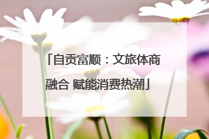 自贡富顺：文旅体商融合 赋能消费热潮