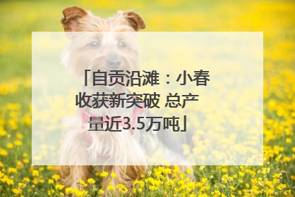 自贡沿滩：小春收获新突破 总产量近3.5万吨