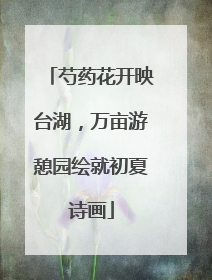 芍药花开映台湖，万亩游憩园绘就初夏诗画