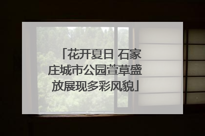 花开夏日 石家庄城市公园萱草盛放展现多彩风貌