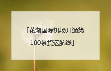 花湖国际机场开通第100条货运航线