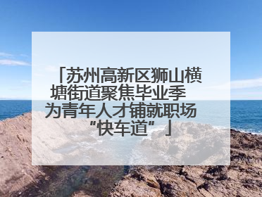 苏州高新区狮山横塘街道聚焦毕业季 为青年人才铺就职场“快车道”