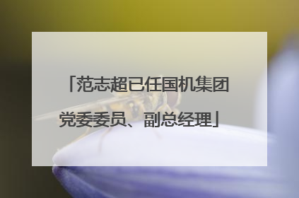 范志超已任国机集团党委委员、副总经理