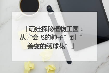 萌娃探秘植物王国：从“会飞的种子”到“善变的绣球花”