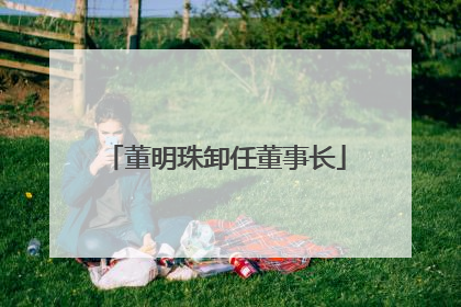 董明珠卸任董事长