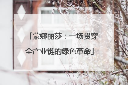 蒙娜丽莎：一场贯穿全产业链的绿色革命