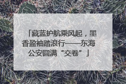 藏蓝护航乘风起，墨香盈袖踏浪行——东海公安圆满“交卷”