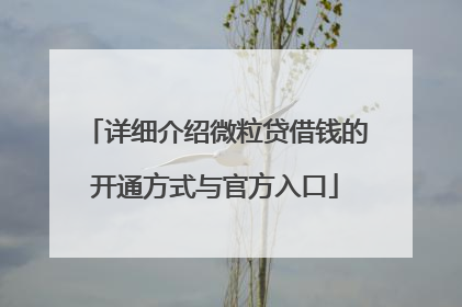 详细介绍微粒贷借钱的开通方式与官方入口