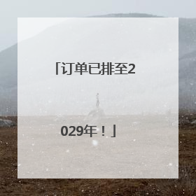 订单已排至2029年！