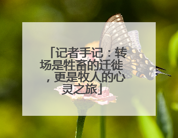记者手记：转场是牲畜的迁徙，更是牧人的心灵之旅