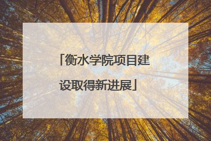 衡水学院项目建设取得新进展