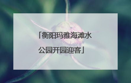 衡阳玛雅海滩水公园开园迎客