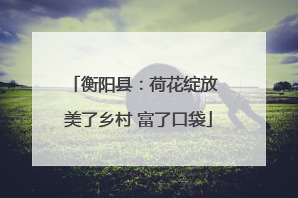 衡阳县：荷花绽放 美了乡村 富了口袋