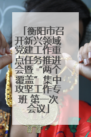 衡阳市召开新兴领域党建工作重点任务推进会暨“两个覆盖”集中攻坚工作专班 第一次会议
