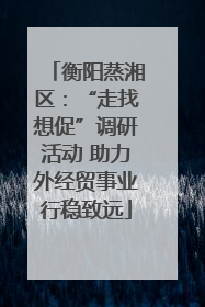 衡阳蒸湘区：“走找想促”调研活动 助力外经贸事业行稳致远