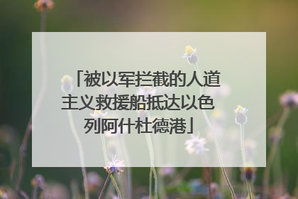 被以军拦截的人道主义救援船抵达以色列阿什杜德港
