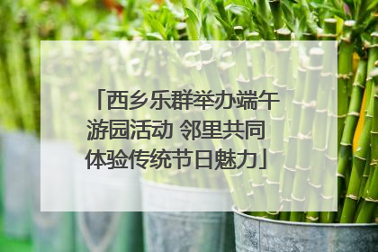 西乡乐群举办端午游园活动 邻里共同体验传统节日魅力