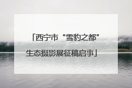 西宁市“雪豹之都”生态摄影展征稿启事