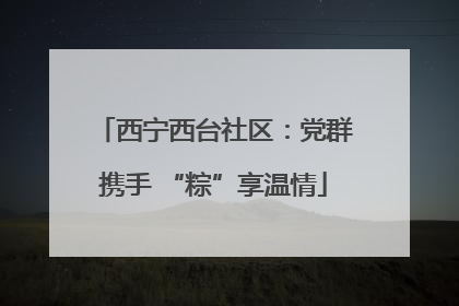 西宁西台社区：党群携手 “粽”享温情