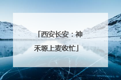 西安长安：神禾塬上麦收忙