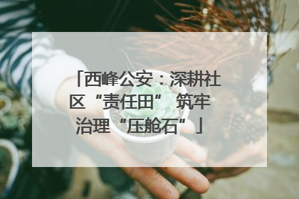 西峰公安：深耕社区“责任田” 筑牢治理“压舱石”