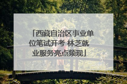 西藏自治区事业单位笔试开考 林芝就业服务亮点频现