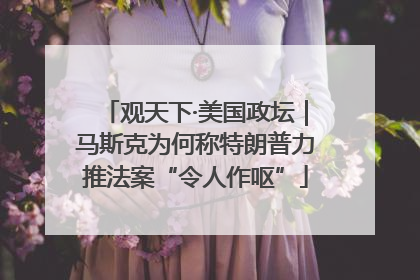 观天下·美国政坛｜马斯克为何称特朗普力推法案“令人作呕”