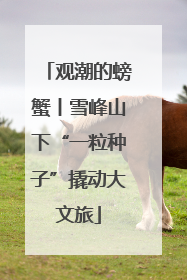 观潮的螃蟹丨雪峰山下“一粒种子”撬动大文旅