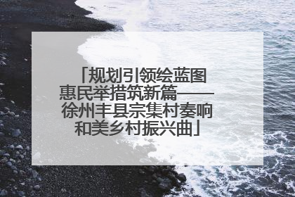 规划引领绘蓝图 惠民举措筑新篇——徐州丰县宗集村奏响和美乡村振兴曲