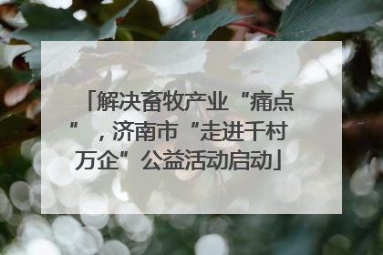 解决畜牧产业“痛点”，济南市“走进千村万企”公益活动启动