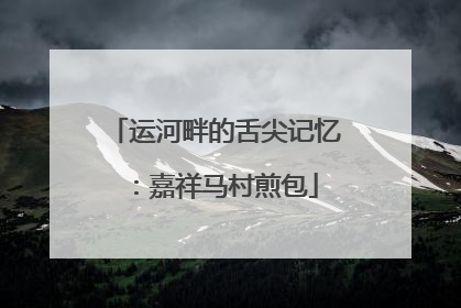 运河畔的舌尖记忆：嘉祥马村煎包