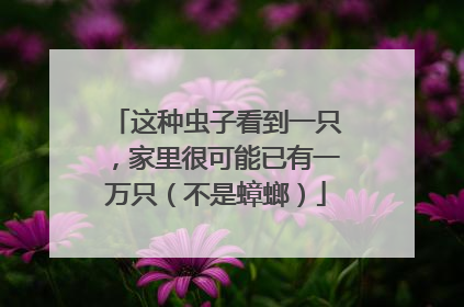 这种虫子看到一只，家里很可能已有一万只（不是蟑螂）