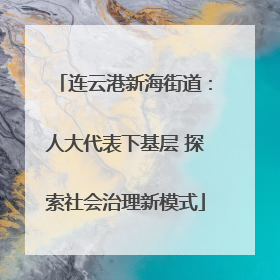 连云港新海街道：人大代表下基层 探索社会治理新模式