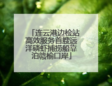 连云港边检站高效服务首艘远洋磷虾捕捞船靠泊赣榆口岸
