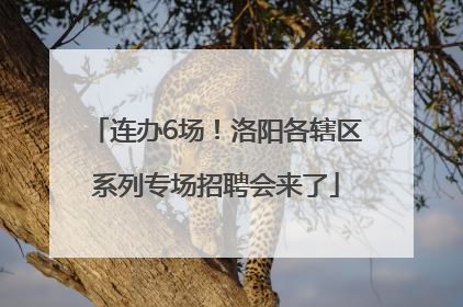 连办6场！洛阳各辖区系列专场招聘会来了