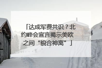 达成军费共识？北约峰会宣言揭示美欧之间“貌合神离”