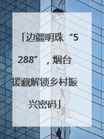 边疆明珠“5288”，烟台援藏解锁乡村振兴密码