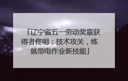 辽宁省五一劳动奖章获得者佟明：技术攻关，练就带电作业新技能
