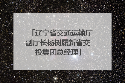 辽宁省交通运输厅副厅长杨树履新省交投集团总经理