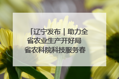 辽宁发布｜助力全省农业生产开好局 省农科院科技服务春耕备耕成效显著