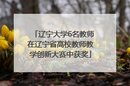 辽宁大学6名教师在辽宁省高校教师教学创新大赛中获奖