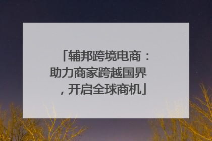 辅邦跨境电商：助力商家跨越国界，开启全球商机