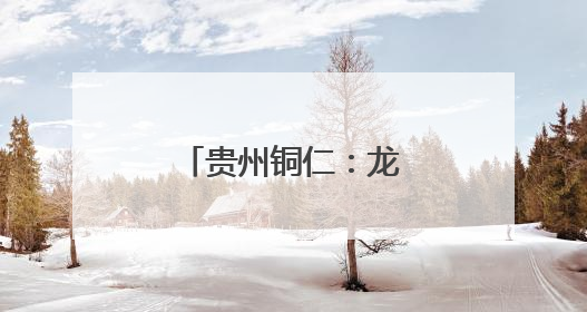 贵州铜仁：龙舟巡游迎端午