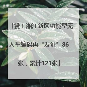 赞！湘江新区功能型无人车编码再“发证”86张，累计121张