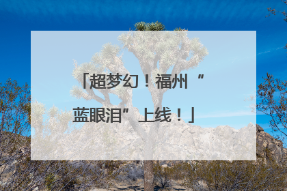 超梦幻！福州“蓝眼泪”上线！