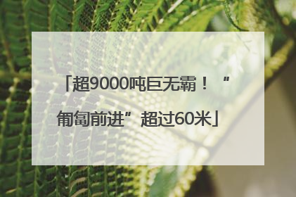 超9000吨巨无霸！“匍匐前进”超过60米